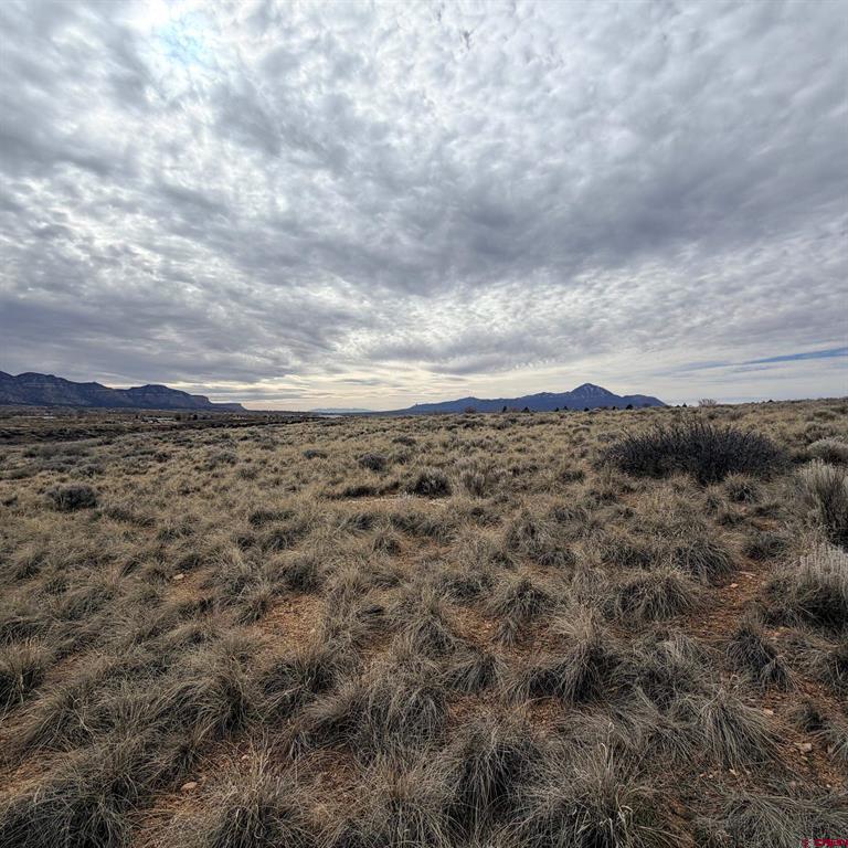 Land in Cortez