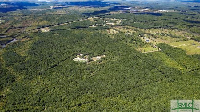 262 Leroy Coffer Highway, Home with 0 bedrooms, 0 bathrooms and null parking in Fleming GA | Image 20