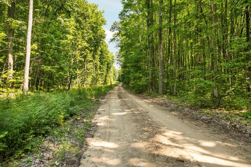 Parcels 4 & 6 Miller Road, Mancelona Township, MI, 49659 | Card Image