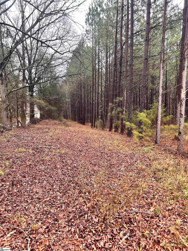 00 Columbia Rd, Home with 0 bedrooms, 0 bathrooms and null parking in Edgefield SC | Image 8