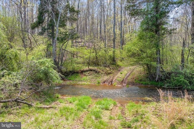 8371 Langhorne Rd, Home with 3 bedrooms, 3 bathrooms and null parking in Scottsville VA | Image 62
