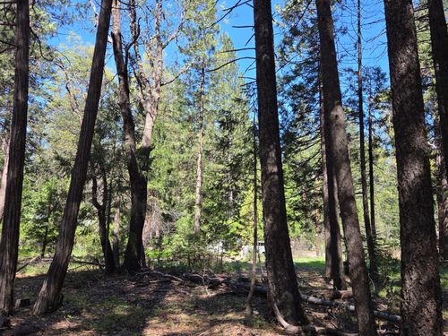 Lot 16 Arbor Ln, Shingletown, CA, 96088 | Card Image