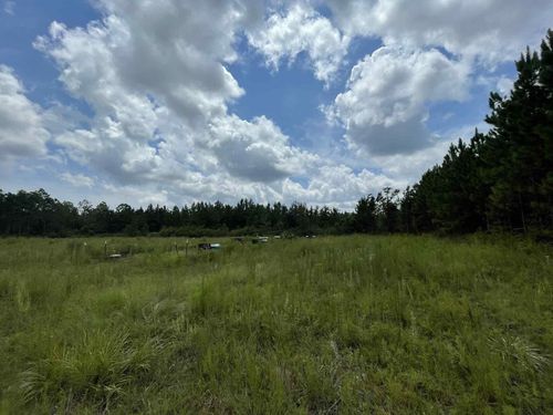 XX Otter Creek Rd, SOPCHOPPY, FL, 32358 | Card Image