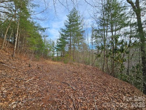 22t-00 Wispy Willow Dr, Waynesville, NC, 28785 | Card Image