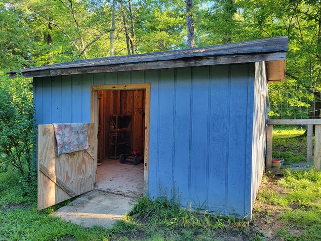 Green Shed | Image 88