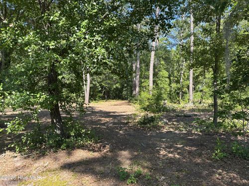 3 Big Eagle Rd, Atkinson, NC, 28421-9381 | Card Image