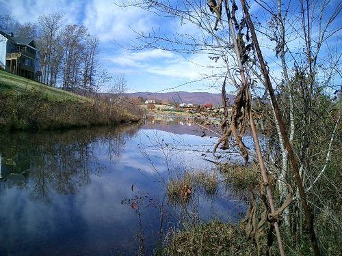 00 The Bear Blvd, Tamassee, SC, 29686 | Card Image