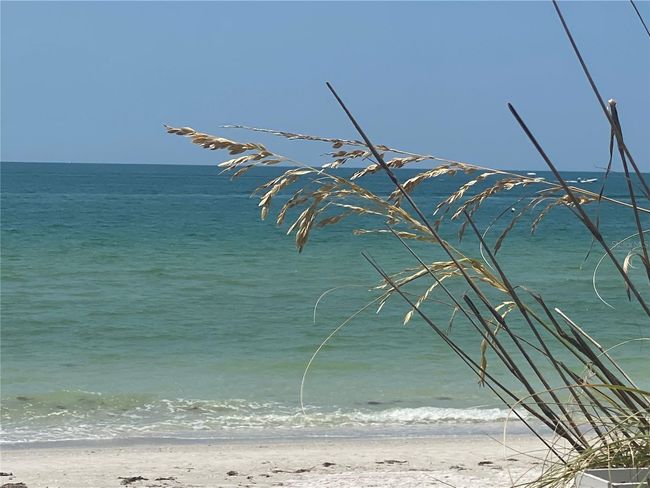 APT-29S - 8565 W Gulf Blvd, Condo with 1 bedrooms, 1 bathrooms and null parking in TREASURE ISLAND FL | Image 4