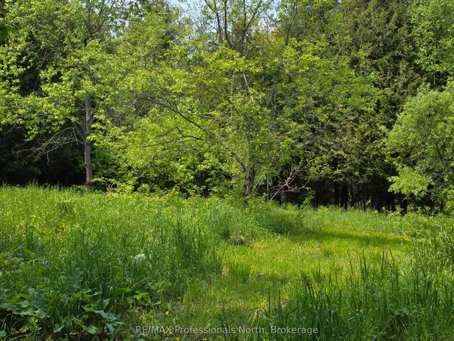 1537 Tulip Rd, House other with 2 bedrooms, 1 bathrooms and 4 parking in Algonquin Highlands ON | Image 36