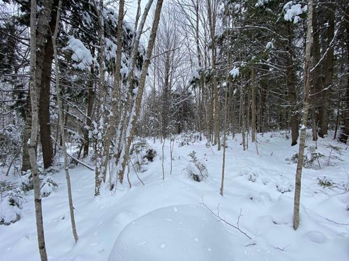 0 Fall Brook Rd, Lyndonville, VT, 05851 | Card Image