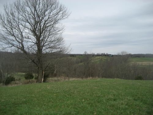 0000 N North Rays Fork Road, Sadieville, KY, 40370 | Card Image