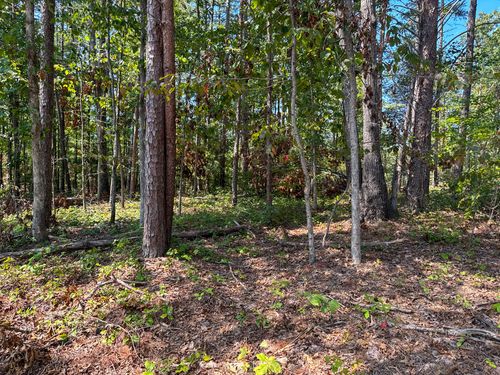 0 Richard Dorning Rd, Hohenwald, TN, 38462 | Card Image