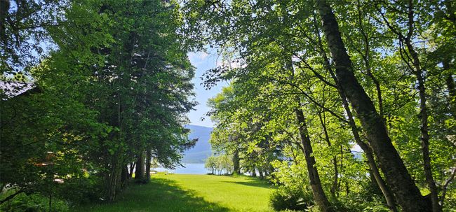 22747 Mt Highway 83, House other with 4 bedrooms, 2 bathrooms and null parking in Bigfork MT | Image 19