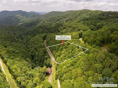 268-000 Tearshirt Ln, Mars Hill, NC, 28754 | Card Image