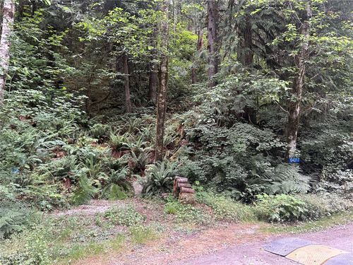 64017 E Cascade Drive, Marblemount, WA, 98267 | Card Image