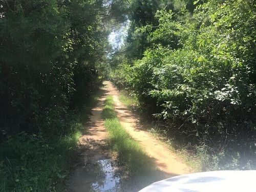 5960 Sc Highway 3, Barnwell, SC, 29812-6813 | Card Image