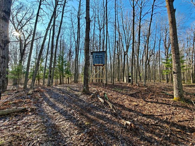 10830 3 Mile Rd, Home with 0 bedrooms, 0 bathrooms and null parking in Branch MI | Image 36