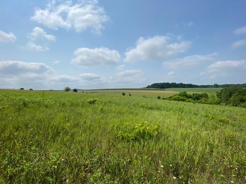 tbd 712th St, Lake City, MN, 55041 | Card Image