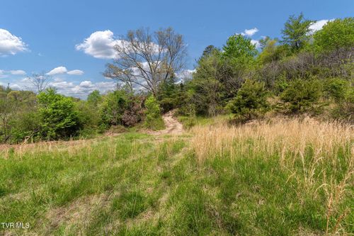 Tbd Lacy Hollow Rd, Elizabethton, TN, 37643 | Card Image