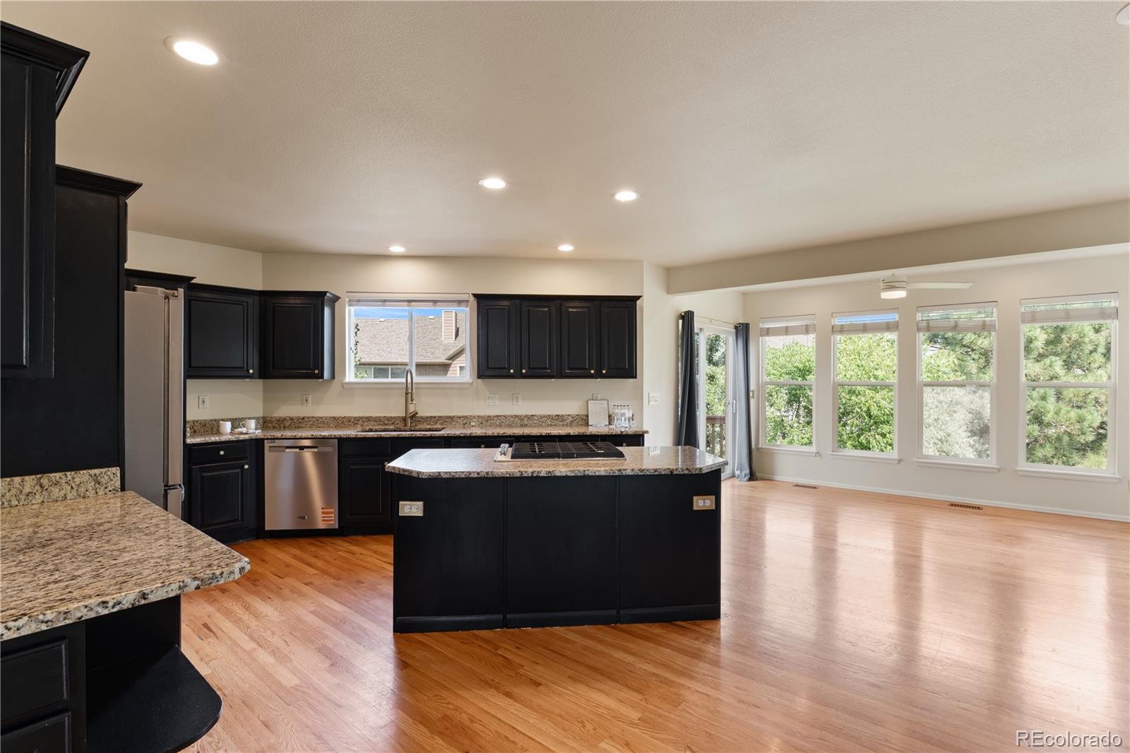 Residential in Colorado Springs 4