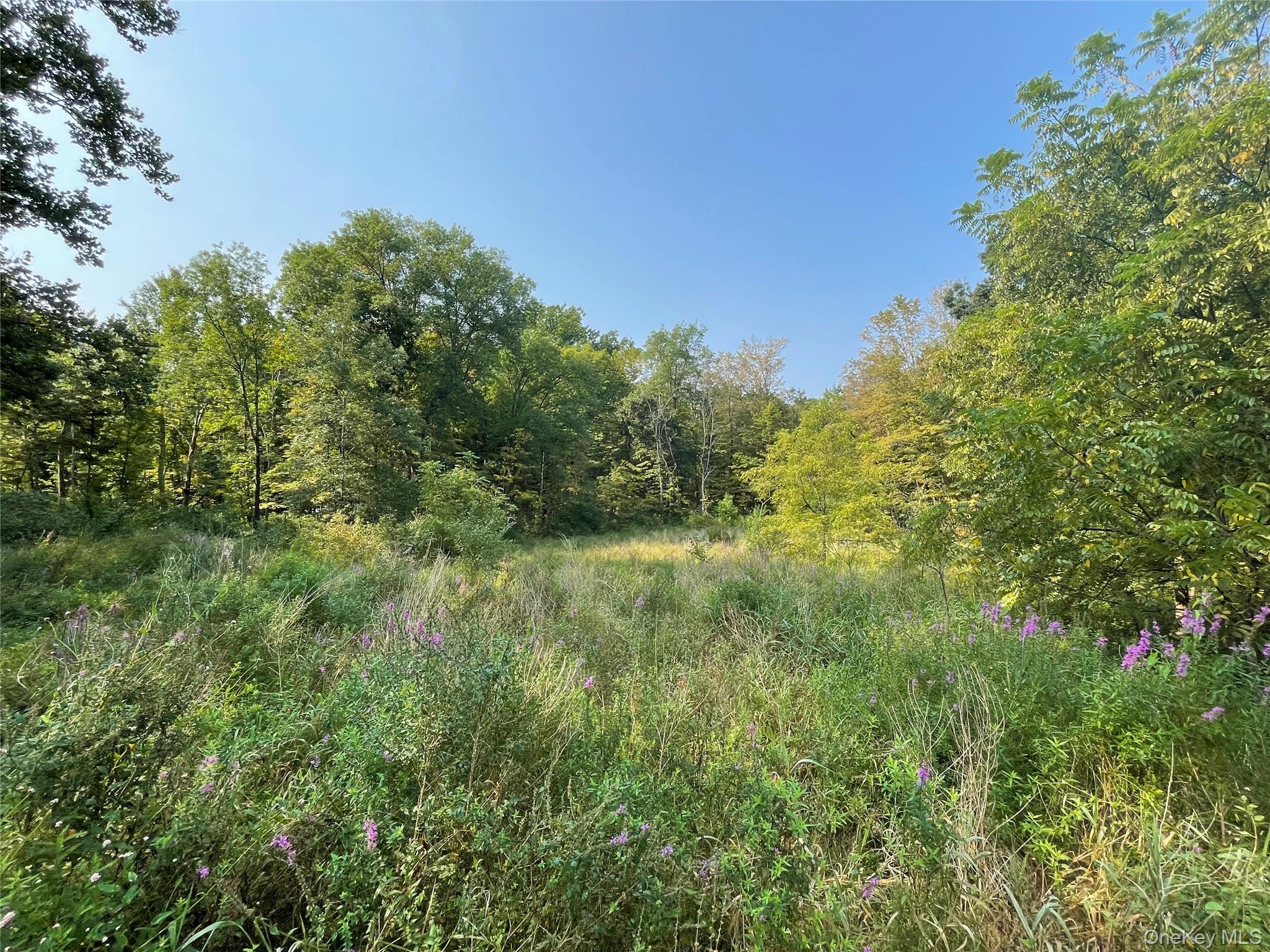 Land in Poughkeepsie 4