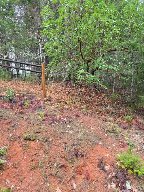 tl205-0 Mcmullen Creek Rd, Selma, OR, 97538 | Card Image