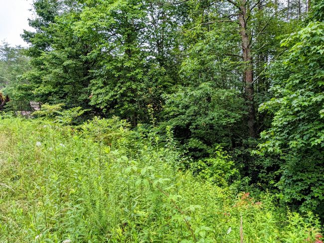32 Lakeview Dr, Home with 0 bedrooms, 0 bathrooms and null parking in Turtletown TN | Image 14