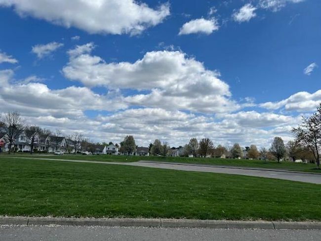 neighborhood | Image 38