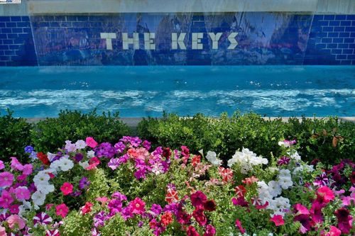 apt-305-460 N Civic Dr, Walnut Creek, CA, 94596-3317 | Card Image