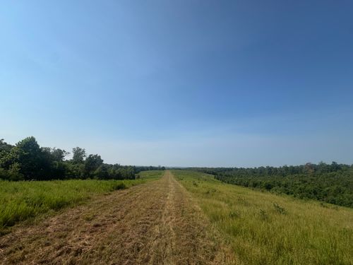 000 Buckeye Ln, Stella, MO, 64867 | Card Image