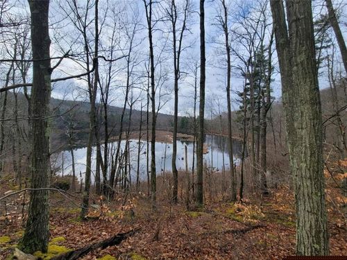 000 State Highway 28 S, Oneonta, NY, 13820 | Card Image
