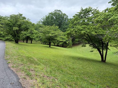 Lot 4 Drake Ridge Drive, Hayesville, NC, 28904 | Card Image