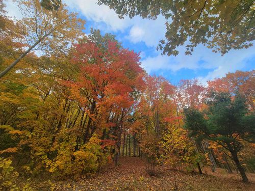 11xxx Old Military Rd, Bayfield, WI, 54814 | Card Image