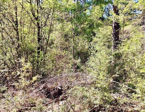 NHN Planatation Ln, Lumberton, MS, 39455 | Card Image