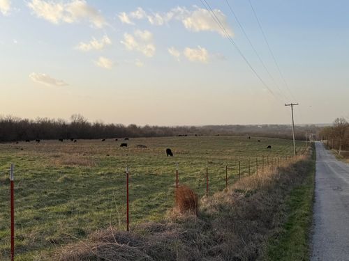 Tract 3 Dade 142, South Greenfield, MO, 65752 | Card Image