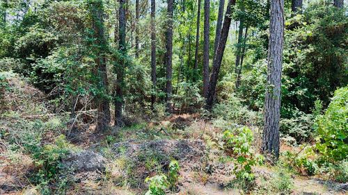 TBD Tobacco Rd, Brookeland, TX, 75931 | Card Image