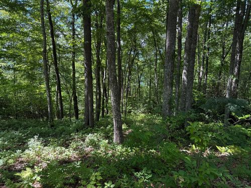 239 Cross Vine Dr, Tuckasegee, NC, 28783 | Card Image