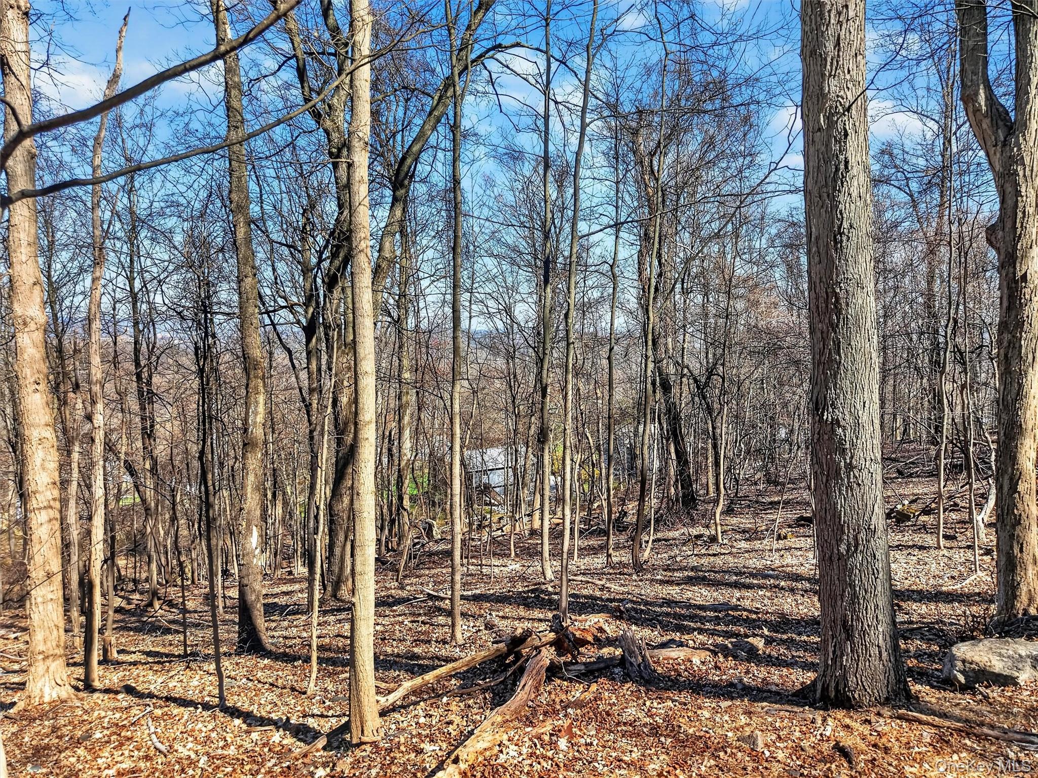 Land in Beacon 5