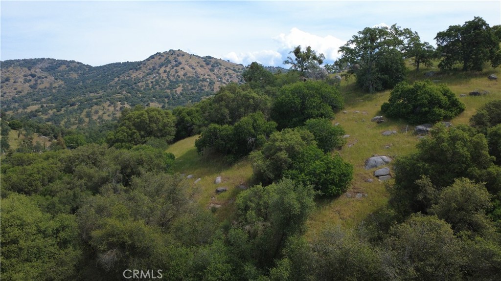 Land in Squaw Valley 2