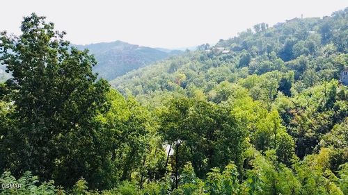 670 Pinecrest Dr, Gatlinburg, TN, 37738-4420 | Card Image