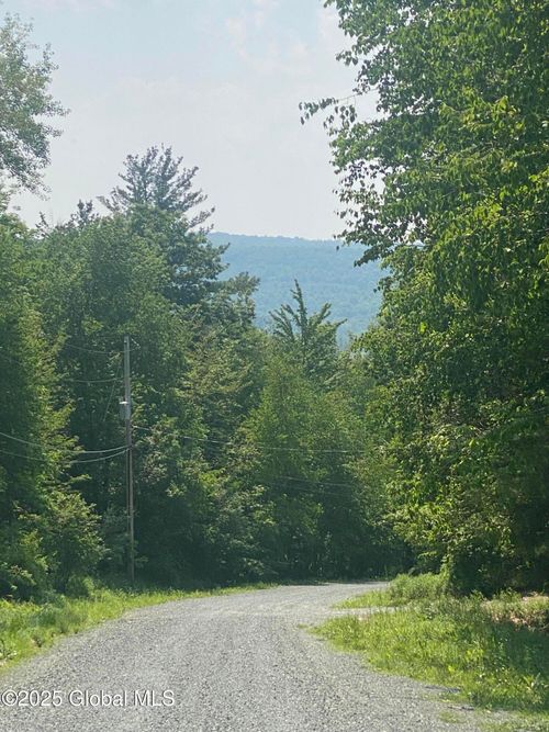 20 Robinson Hollow Way, Stephentown, NY, 12168-4007 | Card Image