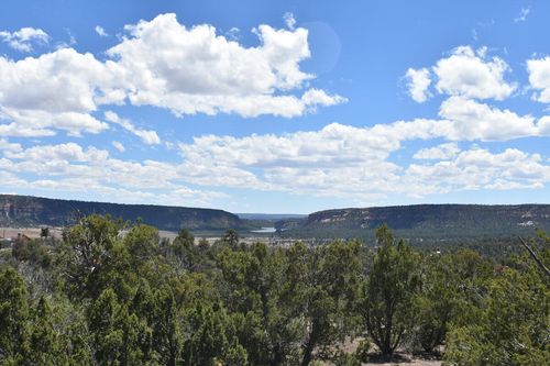 Lot 20 Sunflower Drive, Ramah, NM, 87321 | Card Image