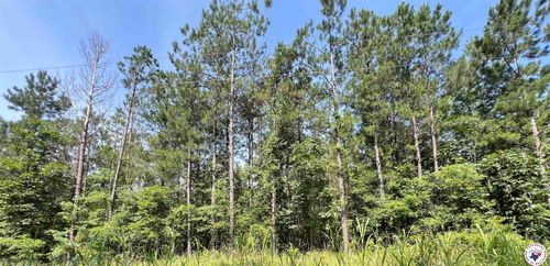 19 ac New Dora Rd, Haworth, OK, 74740 | Card Image