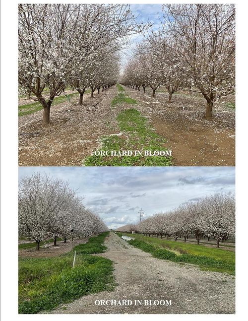 18275 Jensen Lane, Esparto, CA, 95627 | Card Image