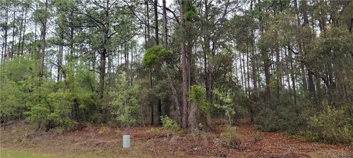 2851 W Higgins Place, DUNNELLON, FL, 34433 | Card Image