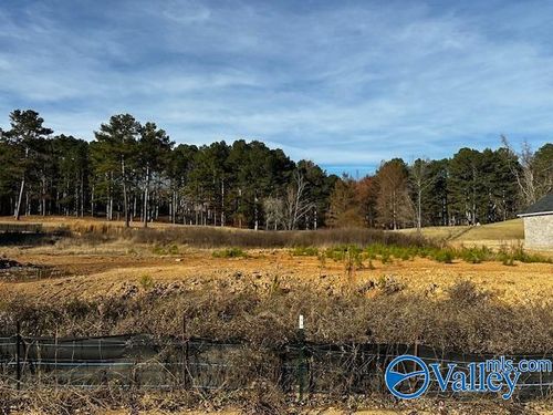 Lot 98 Cherokee Drive, Cherokee Ridge, AL, 35175 | Card Image