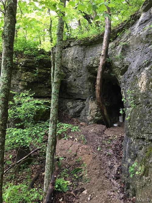 84 Buechele Road, New Florence, MO, 63363 | Card Image