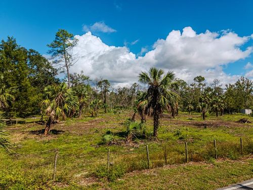 0 Sw 820th St, Steinhatchee, FL, 32359 | Card Image