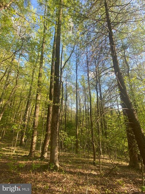 0 Revenooer Rd, MADISON, VA, 22727 | Card Image