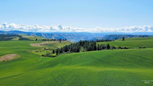 TBD Basket Rd, Nezperce, ID, 83543 | Card Image